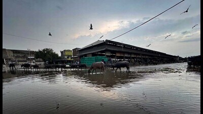 Waterlogging in the vegetable market near Jalandhar bypass area after rain in Ludhiana on Sunday. (Gurpreet Singh/HT) Waterlogging in the vegetable market near Jalandhar bypass area after rain in Ludhiana on Sunday. (Gurpreet Singh/HT)