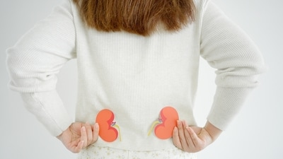 Know the early warning signs of kidney diseases. (Shutterstock) Know the early warning signs of kidney diseases. (Shutterstock)