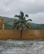 NGT stays ‘illegal’ concrete plant near SGNP