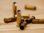 The incident took place when the victim was working in his field in the morning.