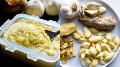 Store-bought ginger-garlic paste: Is it good for you? (Photos: Archana's Kitchen, Feast with Safiya) Store-bought ginger-garlic paste: Is it good for you? (Photos: Archana's Kitchen, Feast with Safiya)
