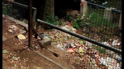 The 6.7-km nullah from Mansa Devi complex to Rajiv Colony in Sector 17 has been strewn with garbage. (HT photo) The 6.7-km nullah from Mansa Devi complex to Rajiv Colony in Sector 17 has been strewn with garbage. (HT photo)