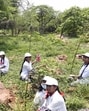 (Representative image) Students plant saplings during 'Van Mahotsav' at Central Ridge in 2022. (ANI) (Representative image) Students plant saplings during 'Van Mahotsav' at Central Ridge in 2022. (ANI)