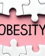 India has the third highest number of people living with overweight and obesity. (Representational image) India has the third highest number of people living with overweight and obesity. (Representational image)