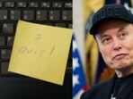 Edward Coristine, known online as ‘Big Balls’, has resigned from his federal government post. Edward Coristine, known online as ‘Big Balls’, has resigned from his federal government post.
