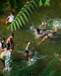 Youngsters play in a stream during a hot day on the outskirts of Srinagar, on Monday. (PTI) Youngsters play in a stream during a hot day on the outskirts of Srinagar, on Monday. (PTI)