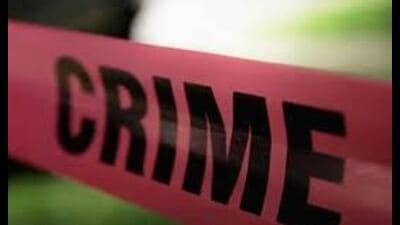 Gang leader, her alleged partner and doctor still absconding. Police probe deepens into Lucknow-based network aiding illegal stay (Sourced)