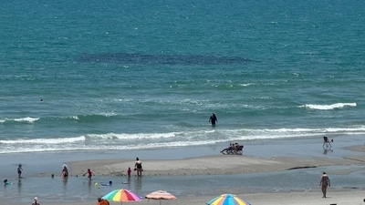 Lifeguard refutes viral claim that a submarine was spotted at Myrtle Beach (X) Lifeguard refutes viral claim that a submarine was spotted at Myrtle Beach (X)