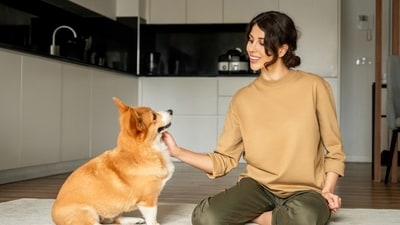 The companionship of a pet benefits mental health holistically. (Shutterstock) The companionship of a pet benefits mental health holistically. (Shutterstock)
