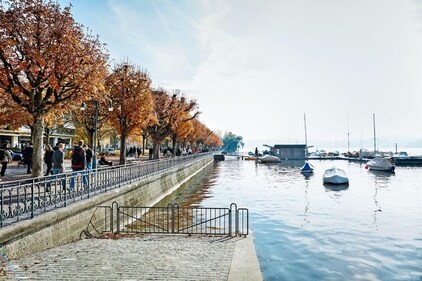Golden leaves, bobbing boats and crisp air, a perfect summary of autumn in Zurich.
