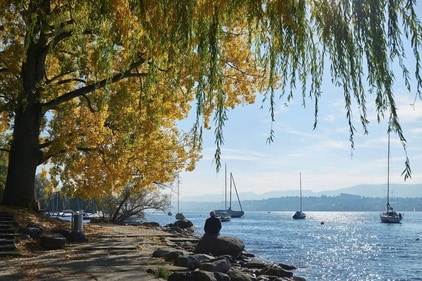 Autumn leaves and gentle waves create a peaceful lakeside escape in Zurich.