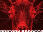 Capricorn Horoscope Today: Read our expert astrological predictions to find out what the stars have in store for you.
Capricorn Horoscope Today: Read our expert astrological predictions to find out what the stars have in store for you.