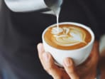 The café has seen its sales soar, quadrupling in numbers, with nearly 80 per cent of customers ordering the unusual latte. The café has seen its sales soar, quadrupling in numbers, with nearly 80 per cent of customers ordering the unusual latte.