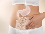 Your gut health includes the gastrointestinal system, and it is one of the most important parts of your body. Your gut health includes the gastrointestinal system, and it is one of the most important parts of your body.