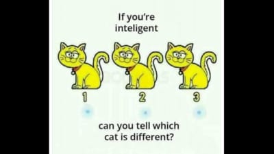 A clever brain teaser shared on X has left many puzzled. (Screengrab X/@Brainy_Bits_Hub) A clever brain teaser shared on X has left many puzzled. (Screengrab X/@Brainy_Bits_Hub)