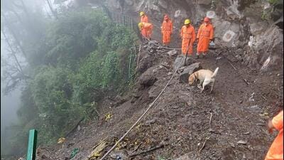 The rescue operation was halted on Tuesday evening due to low visibility and resumed around 7 am on Wednesday (Sourced/HT) The rescue operation was halted on Tuesday evening due to low visibility and resumed around 7 am on Wednesday (Sourced/HT)