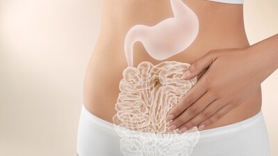 Your gut health includes the gastrointestinal system, and it is one of the most important parts of your body. (Shutterstock) Your gut health includes the gastrointestinal system, and it is one of the most important parts of your body. (Shutterstock)