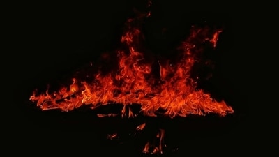 Lake Elsinore brush fire: Massive blaze reported in California, shocking videos emerge (Unsplash - representational image) Lake Elsinore brush fire: Massive blaze reported in California, shocking videos emerge (Unsplash - representational image)