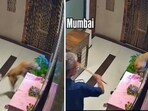 A security guard in a Mumbai building beating a dog. A security guard in a Mumbai building beating a dog.