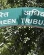 The NGT has posting the hearing on August 4. (HT Photo)