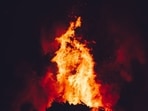 Irwindale grass fire: Huge blaze breaks out at Olive Pit Mine, cause under investigation (Unsplash - representational image) Irwindale grass fire: Huge blaze breaks out at Olive Pit Mine, cause under investigation (Unsplash - representational image)
