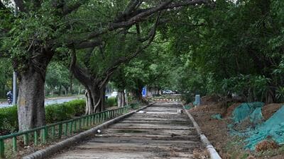 A cycle track in Nehru Park. (HT Archive) A cycle track in Nehru Park. (HT Archive)