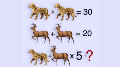 Only sharp minds can solve this baffling brain teaser shared on X. (Screengrab X/@Brainy_Bits_Hub) Only sharp minds can solve this baffling brain teaser shared on X. (Screengrab X/@Brainy_Bits_Hub)