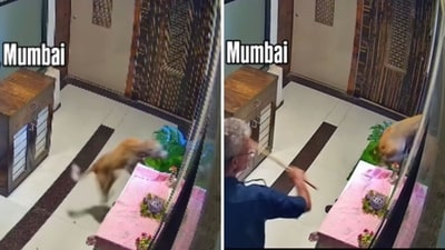 A security guard in a Mumbai building beating a dog. (Screengrab (Instagram)) A security guard in a Mumbai building beating a dog. (Screengrab (Instagram))