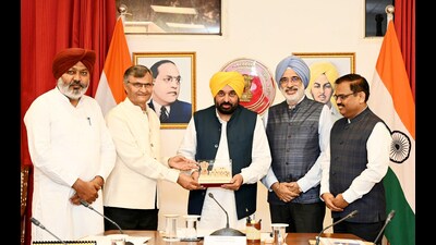 Punjab Chief Minister Bhagwant Mann with member (agriculture) of NITI Aayog Prof Ramesh Chand during a meeting, in Chandigarh on Thursday. (ANI)