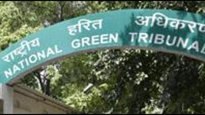 The matter was brought before the NGT through an original application filed in June 2025 involving a complaint by local resident Suyog Kelkar regarding health issues among citizens including asthma and chronic obstructive pulmonary disease (COPD) due to prolonged exposure to cement dust and fugitive emissions from the RMC plant in question. (REPRESENTATIVE PHOTO) The matter was brought before the NGT through an original application filed in June 2025 involving a complaint by local resident Suyog Kelkar regarding health issues among citizens including asthma and chronic obstructive pulmonary disease (COPD) due to prolonged exposure to cement dust and fugitive emissions from the RMC plant in question. (REPRESENTATIVE PHOTO)