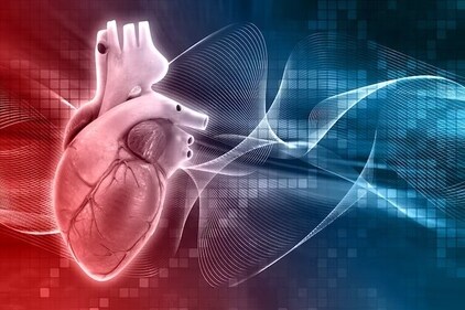 Cardiologists feel the most important cause behind sudden cardiac death remains coronary artery disease, a condition where coronary arteries get blocked. A change in lifestyle and adoption of healthy habits can help keep your heart healthy. (Freepik) Cardiologists feel the most important cause behind sudden cardiac death remains coronary artery disease, a condition where coronary arteries get blocked. A change in lifestyle and adoption of healthy habits can help keep your heart healthy. (Freepik)