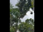 The incident occurred near Embassy Apartments on Ali Asker Road, Bengaluru.
