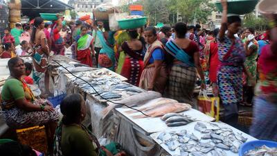 Fish on sale at Sassoon dock (Hindustan Times) Fish on sale at Sassoon dock (Hindustan Times)