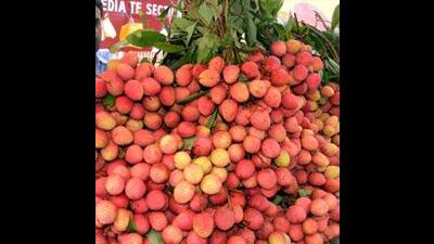 India has for the first time exported 1.5 tonnes of litchi fruit from Punjab to Doha and Dubai this month, the commerce ministry’s arm, Agricultural and Processed Food Products Export Development Authority (APEDA), said on Friday. (HT File)