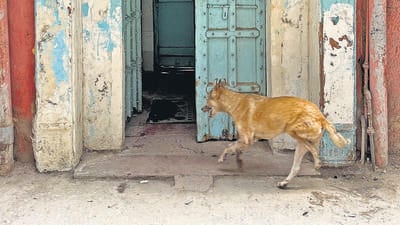 The street is punctuated with a couple of old doorways. One is in fading blue—a shade so fragile that it might wash away in the first monsoon shower. (HT Photo) The street is punctuated with a couple of old doorways. One is in fading blue—a shade so fragile that it might wash away in the first monsoon shower. (HT Photo)