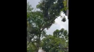 The incident occurred near Embassy Apartments on Ali Asker Road, Bengaluru. The incident occurred near Embassy Apartments on Ali Asker Road, Bengaluru.
