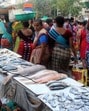 Fish on sale at Sassoon dock (Hindustan Times) Fish on sale at Sassoon dock (Hindustan Times)