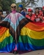 So little is known about gender identity, and so much is feared through tropes. (Hindustan Times)