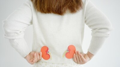 Know the early warning signs of kidney cysts and kidney tumour. (Shutterstock) Know the early warning signs of kidney cysts and kidney tumour. (Shutterstock)