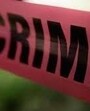An FIR was also registered at the Sector 24 police post under Sections 85, 115(2), 126(2), and 351(2) of the BNS, 2023. (HT photo for representation) An FIR was also registered at the Sector 24 police post under Sections 85, 115(2), 126(2), and 351(2) of the BNS, 2023. (HT photo for representation)