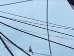 Footage captured by a witness showed the drone soaring 65 feet into the air, with the man hanging beneath it, his legs dangling from the harness. Footage captured by a witness showed the drone soaring 65 feet into the air, with the man hanging beneath it, his legs dangling from the harness.