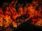 Ridgecrest Freedom Fest fire: Fireworks show ends early after huge blaze breaks out, shocking videos surface (Unsplash - representational image) Ridgecrest Freedom Fest fire: Fireworks show ends early after huge blaze breaks out, shocking videos surface (Unsplash - representational image)