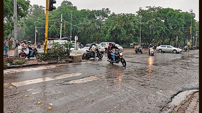 A faded zebra crossing on the Sector 58/59 dividing road. (Sanjeev Sharma/HT) A faded zebra crossing on the Sector 58/59 dividing road. (Sanjeev Sharma/HT)