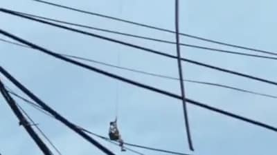 Footage captured by a witness showed the drone soaring 65 feet into the air, with the man hanging beneath it, his legs dangling from the harness. (X/Li Zexin) Footage captured by a witness showed the drone soaring 65 feet into the air, with the man hanging beneath it, his legs dangling from the harness. (X/Li Zexin)