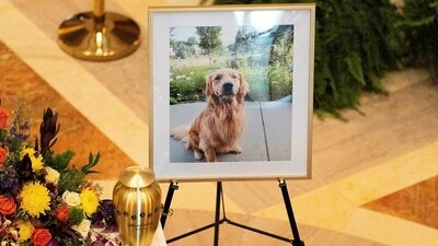 A photograph of senior Democratic state assemblywoman Melissa Hortman's late dog, Gilbert, watches the caskets of Hortman and her husband Mark, as their bodies lie in state at the Minnesota Capitol. (Reuters) A photograph of senior Democratic state assemblywoman Melissa Hortman's late dog, Gilbert, watches the caskets of Hortman and her husband Mark, as their bodies lie in state at the Minnesota Capitol. (Reuters)