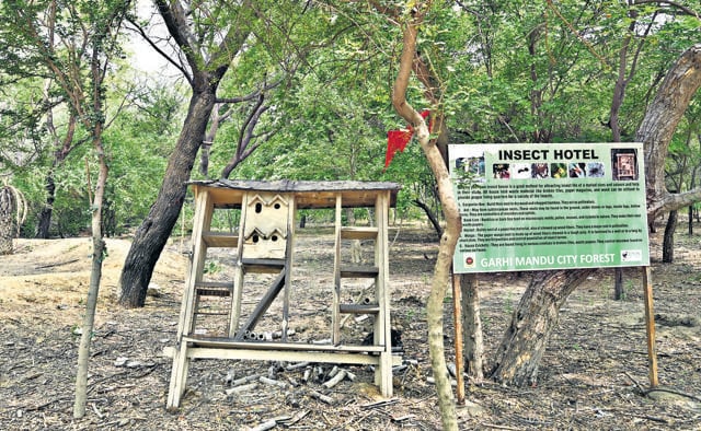 A gazebo built for visitors had a gaping hole as well, as a part of the structure’s roof collapsed during the recent gusts. (Arvind Yadav/HT photo) A gazebo built for visitors had a gaping hole as well, as a part of the structure’s roof collapsed during the recent gusts. (Arvind Yadav/HT photo)