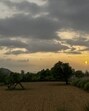 Dark monsoon clouds loom over green fields in Jatoli village on the outskirts of Gurugram on Monday. (Parveen Kumar/HT Photo) Dark monsoon clouds loom over green fields in Jatoli village on the outskirts of Gurugram on Monday. (Parveen Kumar/HT Photo)