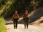 Firefighters return from an area where two firefighters were shot dead while responding to a fire and the body of a man was later found with a gun nearby in the Canfield Mountain area outside Coeur d’Alene, Idaho, U.S. June 30, 2025.  REUTERS/David Ryder