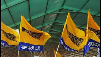AAP’s ‘Har Ghar Sampark’ drive begins July 11 across 75 districts; 101 observers appointed (Sourced) AAP’s ‘Har Ghar Sampark’ drive begins July 11 across 75 districts; 101 observers appointed (Sourced)