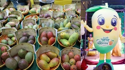 The annual Mango Festival by Delhi Tourism was held at Thyagaraj Stadium this year. (Photos: Shantanu Bhattacharya/HT)
